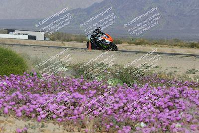 media/Feb-04-2023-SoCal Trackdays (Sat) [[8a776bf2c3]]/Turn 15 Inside Blooming (1050am)/